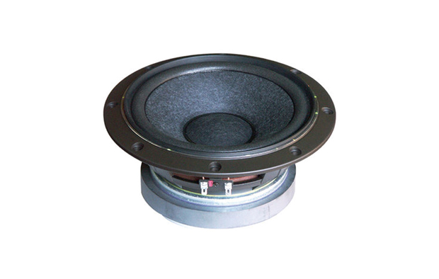 Fostex FW208N