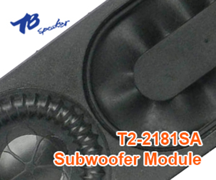 Tang Band T2-2181SA
