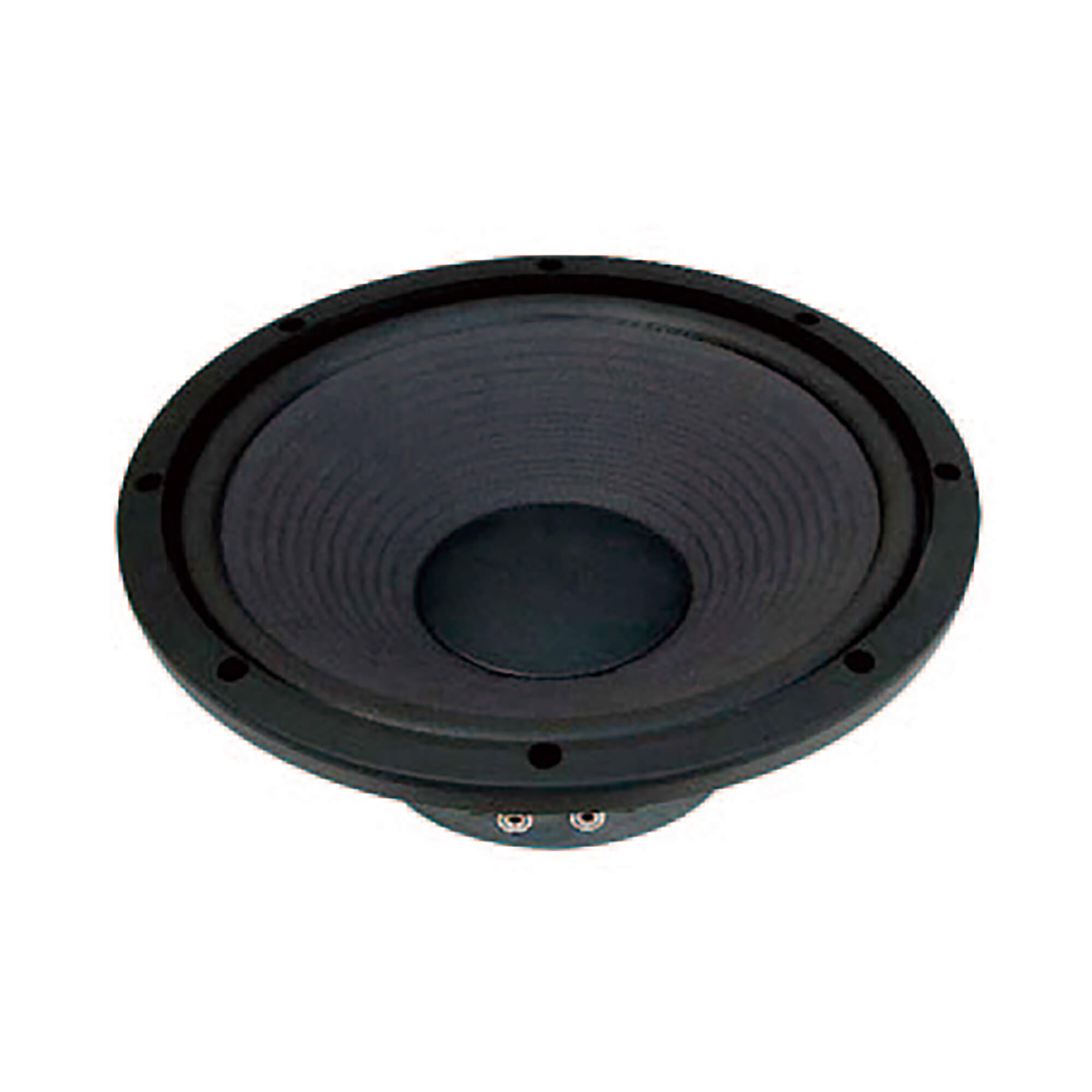 Fostex FW305