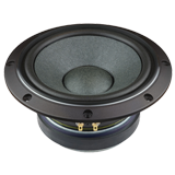 Fostex FW208HS