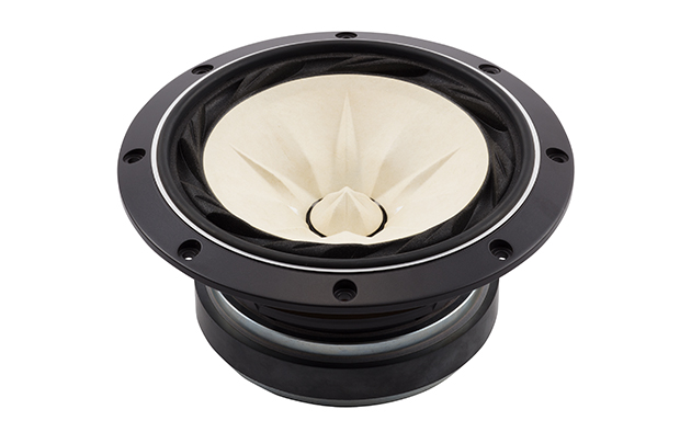 Fostex FE208EΣ